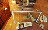Туры в отель Angel's Home Hotel