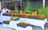 Туры в отель Xeno Eftalia Resort