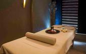 Туры в отель Istanbul Medikal Termal Hotel