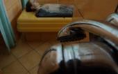 Туры в отель Egle Plus Sanatoriy