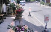 Туры в отель New Beylerbeyi Hotel