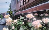 Туры в отель New Beylerbeyi Hotel