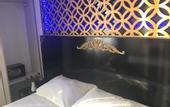 Туры в отель Fairytale Hotel