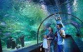 Туры в отель Blue Sea Hotel