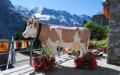 Туры в отель Eiger Murren