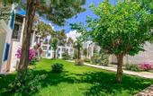 Туры в отель Club Muskebi Hotel