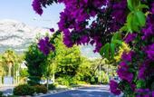 Туры в отель Green Valley Boutique Hotel