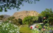 Туры в отель Ein Gedi Resort