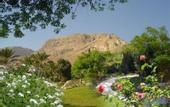 Туры в отель Ein Gedi Resort