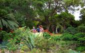 Туры в отель Ein Gedi Resort