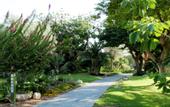 Туры в отель Ein Gedi Resort