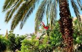 Туры в отель Ein Gedi Resort