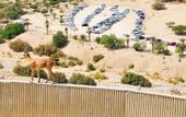 Туры в отель Ein Gedi Resort