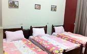 Туры в отель Jamaica Hostel