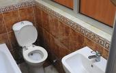 Туры в отель Jamaica Hostel