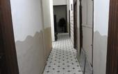 Туры в отель Jamaica Hostel