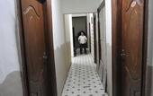 Туры в отель Jamaica Hostel