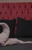 Туры в отель Castle Hotel