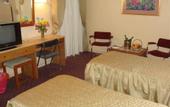 Туры в отель Hotel Delta