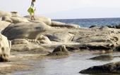 Туры в отель Ekies All Senses Resort