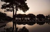 Туры в отель The Olivar Suites
