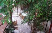 Туры в отель Kiniras Traditional Hotel & Restaurant