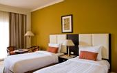 Туры в отель Pavillon Winter Luxor