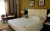 Туры в отель Pavillon Winter Luxor