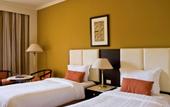 Туры в отель Pavillon Winter Luxor