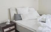 Туры в отель Residence Turgenev