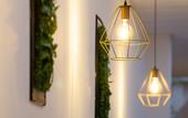 Туры в отель Cameo Hostel