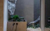 Туры в отель Acro Suites – A Wellbeing Resort