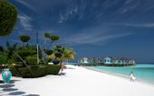 Туры в отель Cora Cora Maldives