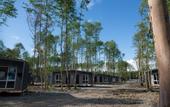 Туры в отель Тамыш Village