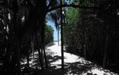Туры в отель Sanctuary At Grand Memories Varadero Adults Only