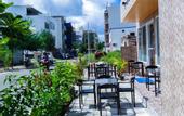 Туры в отель Vilu Rest