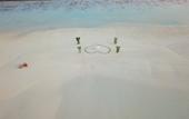 Туры в отель White Sand Dhigurah