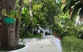 Туры в отель Rasdhoo Dive Lodge