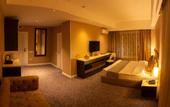 Туры в отель Parkway Inn Hotel & Spa