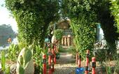 Туры в отель El Gezira