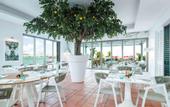 Туры в отель Th8 Palm Dubai Beach Resort Vignette Collection, an IHG hotel