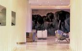Туры в отель El Hotel Pacha