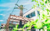 Туры в отель Morfeas Hotel