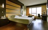 Туры в отель Abades Nevada Palace