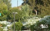 Туры в отель JB Hotel