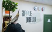 Туры в отель Apple Dream Hotel