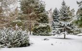 Туры в отель Барнаульский Санаторий