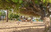 Туры в отель El Mouradi Port El Kantaoui