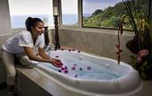 Туры в отель Parador Resort & Spa Manuel Antonio