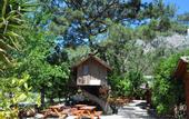 Туры в отель Turkmen Tree Houses